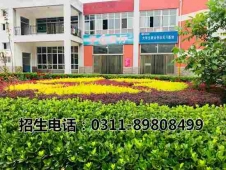 http://www.s21289.cn/school-161/document-id-323.html