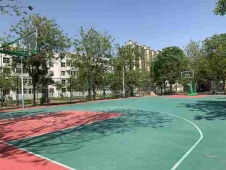 http://www.s21289.cn/school-196/document-id-389.html