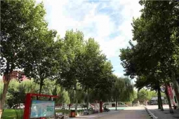 http://www.s21289.cn/school-213/document-id-448.html