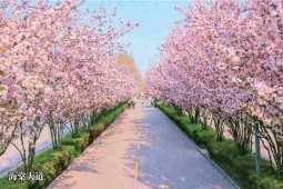 http://www.s21289.cn/school-180/document-id-480.html
